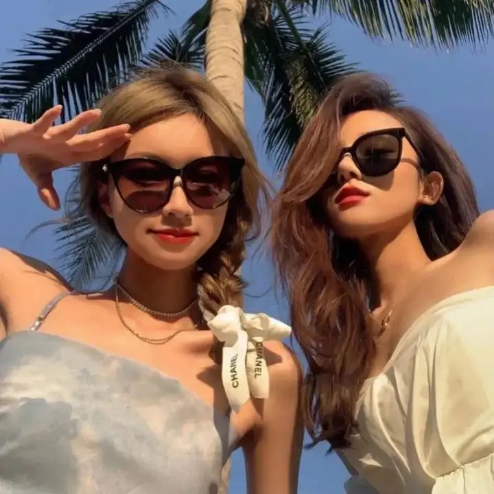 迪克切尼眼中的世界