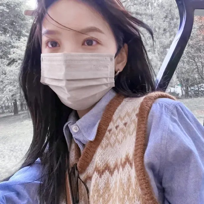 最强大脑第九季